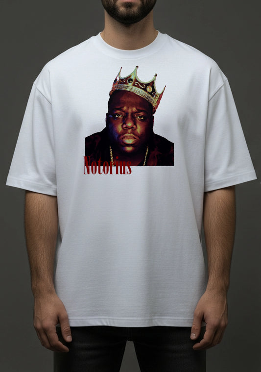 Diseño Notorius